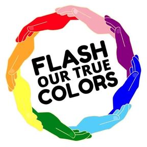 Logo Flash true colors
